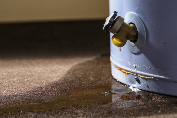 Trusted Franklin Park, FL Water damage restoration Experts