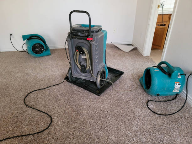 Carpet water damage restoration in Franklin Park, FL