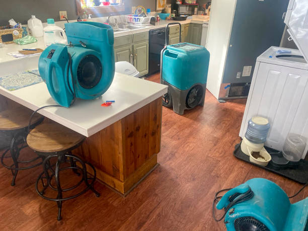 24/7 water damage repair in Franklin Park, FL