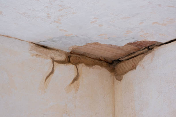 Best Residential water damage restoration  in Franklin Park, FL