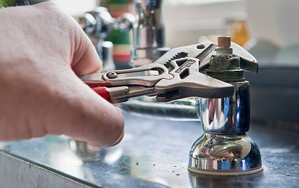 Best Mold removal after water damage  in Franklin Park, FL