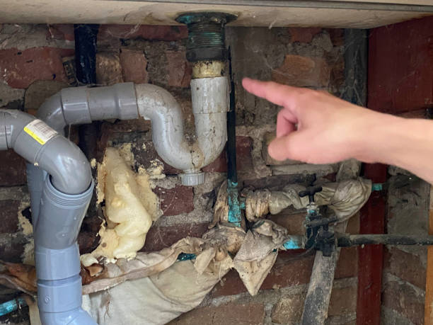 Water damage restoration experts in Franklin Park, FL