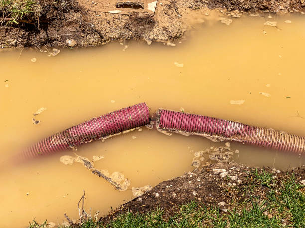 Best Water damage cleanup near me  in Franklin Park, FL